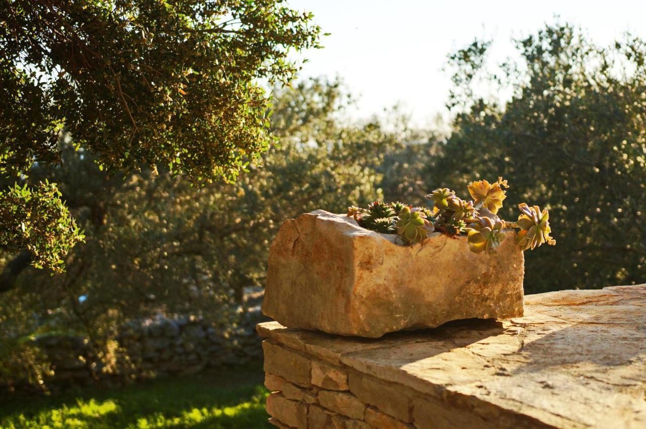 Stone House San Pelegrin Vila Vela Luka Exterior foto